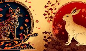 This lunar New Year some people are celebrating the year of the cat and others the year of the rabbit. Source: Imagination Station / Adobe Stock
