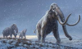 Mammoth DNA Breaks Record for World’s Oldest Sequence