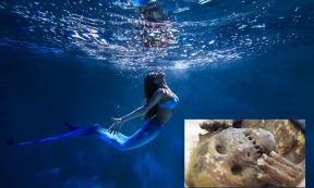 Mermaid image with inset image of the Japanese mummified mermaid. Source: yukinya / Adobe Stock and Asahi Shumbun Company / Youtube