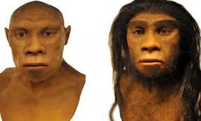 Neanderthals