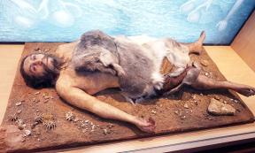 Neanderthal display at the National Museum of Natural Sciences in Madrid. 