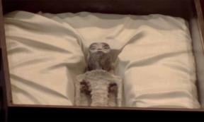 The non-human body presented at the Congress of Mexico     Source: Camara de Diputados/Congress de Mexico