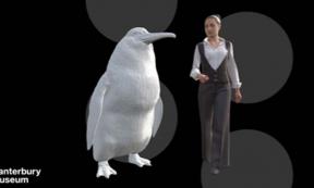 An illustration shows the approximate height of a giant penguin next to a woman. Source: Canterbury Museum
