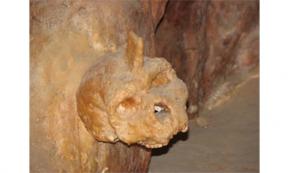 New Information on the Petralona Skull Controversy