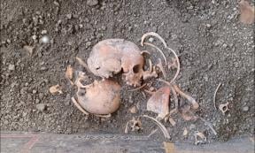 Skeleton of a child, one of four skeletons found during excavations at the House of Elle and Frisso in Pompeii.