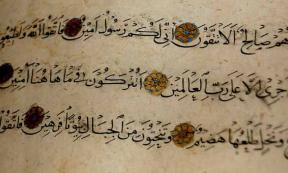 Muslims: The Origins of Human Beings