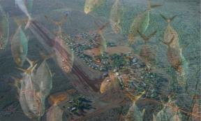 Artistic representation of fish raining over Lajamanu.   Source: Composite CC BY 2.0 and CC BY 2.0