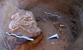 Harder to explain for the archeologists were the remains of animals in the pits. 