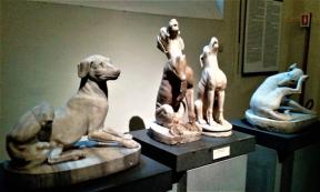 A new study offers fascinating details about the lives of dogs who were ritually sacrificed to the Roman gods in the first and second centuries in Britain.