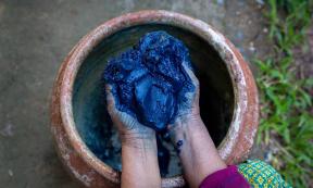 Indigo dye. Source: Thirawatana / Adobe Stock.