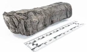 Scientists have virtually unfurled PHerc. 172, one of three Herculaneum scrolls now housed at the Bodleian Libraries in Oxford.