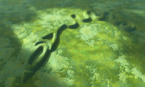 Serpent Mound