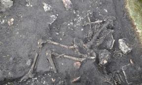 In house 40 in the Sandby borg ringfort, the skeletons of two young men were found right inside of the door. Further into the house were more human remains.