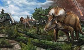 Reconstruction of a late Maastrichtian (~66 million years ago) palaeoenvironment in North America, where a floodplain is roamed by dinosaurs like Tyrannosaurus rex, Edmontosaurus annectens and Triceratops prorsus.