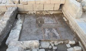 Mosaics uncovered during excavations in Teos, one featuring Dionysian imagery.