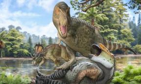 Image of Tyrannosaurus Rex on the prowl in ancient North America.