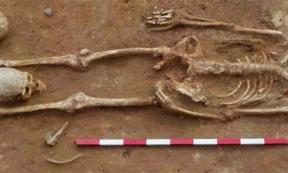 A headless skeleton, Suffolk, England (representational). Credit: Archaeological Solutions.