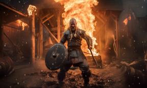 Violent Viking attack on a village