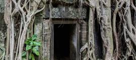 Door surrounded by roots of Tetrameles nudiflora in the Khmer temple of Ta Phrom, Angkor temple complex, located today in Cambodia. (CC BY-SA 3.0)