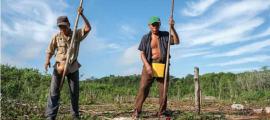 Traditional farmers Ramón Nonato Tec Poot, Xuxcab, Yucatán.	Source: International Maize and Wheat Improvement Center/CC BY-NC 2.0 Deed)