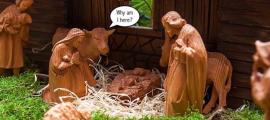 Animals are commonly found in creche sets, but surprisingly not in the Bible. 