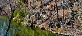 The Lost Tribe of Clover Hollow – Oldest Civilization in the World Found in Appalachian Mountains?