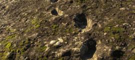 Devil’s Footprints: Who Descended the Side of an Erupting Volcano, Leaving an Ancient Trail Behind?