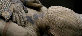 An Egyptian Mummy 