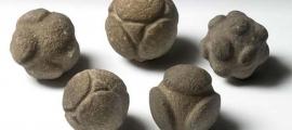 Five carved stone spheres from Scotland held at the Ashmolean Museum 