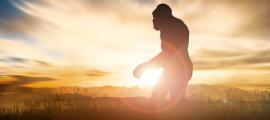 Is Bigfoot Real? Emerging Scientific Evidence