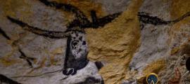 Head of aurochs in the Lascaux caves in France. Source: bobdu11 / Adobe Stock