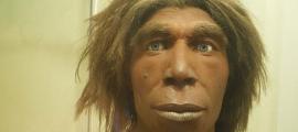 Reconstruction of what a Neanderthal may have looked like in the Museum für Naturkunde, Berlin, Germany