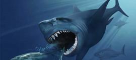 Stay Out of the Water: Does a Prehistoric Shark Still Live in the Ocean?