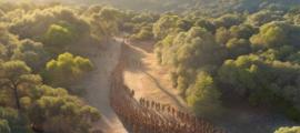 Aerial glimpse of AI image of Roman legions unveiled in panoramic bird's eye view. Source: Arnolt/Adobe Stock
