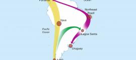Image depicting South American migration patterns. Source: Florida Atlantic University