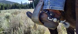 A cowboy boot in a horse’s stirrup. 