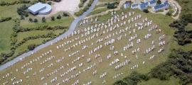 The Carnac Stone Rows