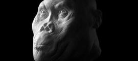Ancient Hominids Face Reconstruction