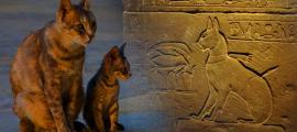 The Cat Came Back: A More Than Mythical History – Part I