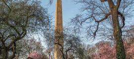Cleopatra’s Needle, better known as Thutmose Obelisk, in Central Park, New York. Source: John Anderson / Adobe Stock