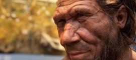 Neanderthal Reconstruction