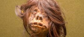 “International” Shrunken Head From Ecuador Returns Home
