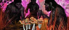 The Stoned Ape theory proposes magic mushrooms helped the Homo erectus evolve quickly. 