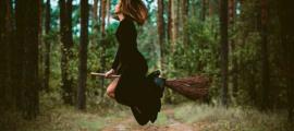 Witch on a broomstick. Source:  T.Den_Team / Adobe Stock
