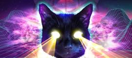 Profile picture for user beerkat88