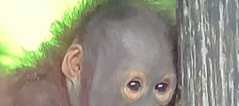 Profile picture for user BILLY B