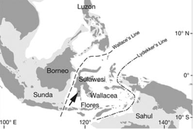 Map of the area in the journal Nature. 
