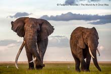 The World As It Once Was