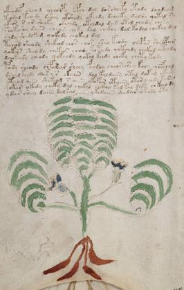 The Voynich Manuscript