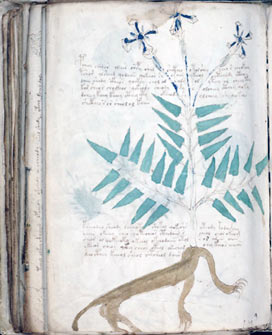 Voynich Manuscript